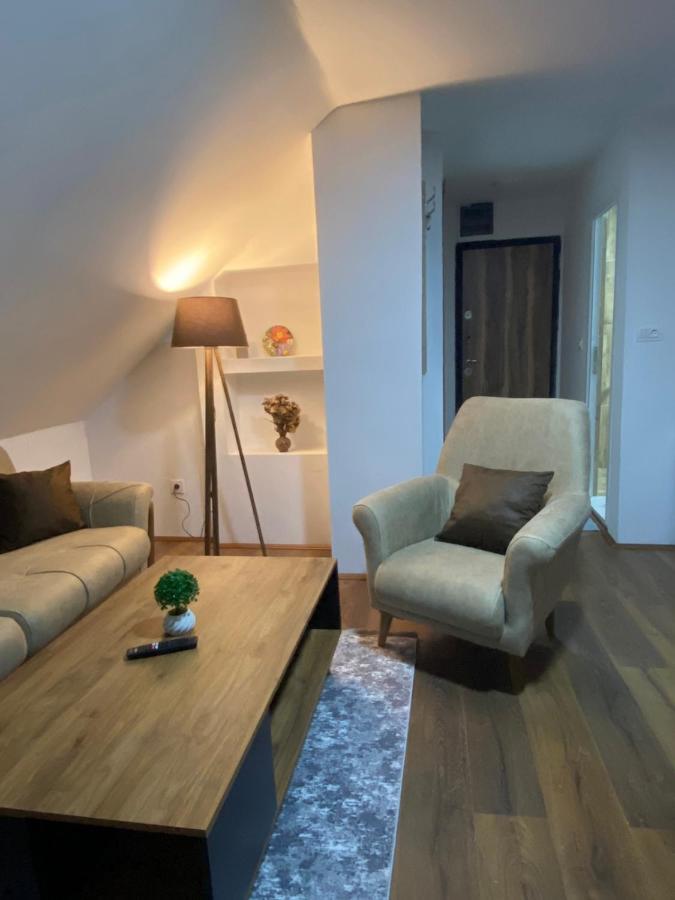 Vila Simona Mavrovo Extérieur photo